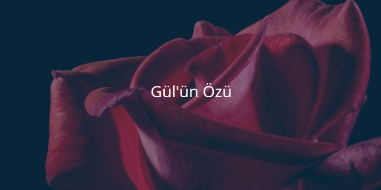 Gül'ün Özü