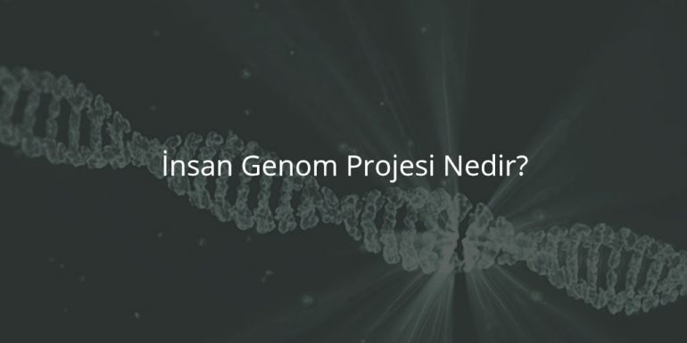 İnsan Genom Projesi Nedir?
